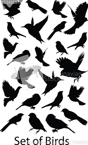 Image of Set Birds.Vector