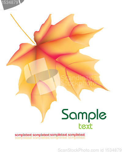Image of eps10 vector background