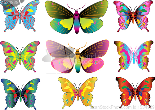 Image of set of different multicolored butterflies - vector