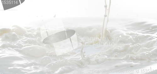 Image of milk splash