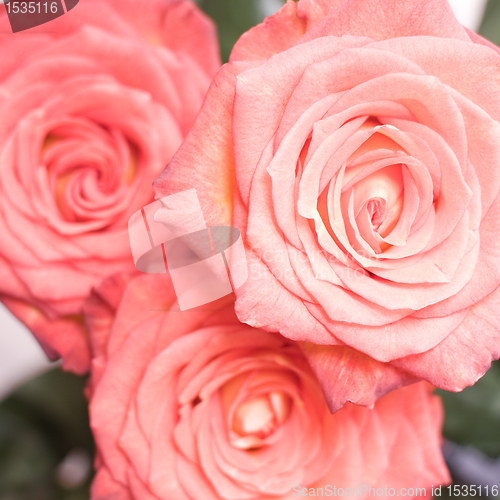 Image of rose bouquet