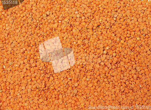 Image of lentil background