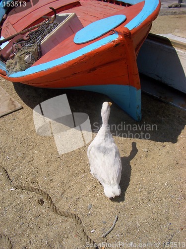 Image of Goose and boat