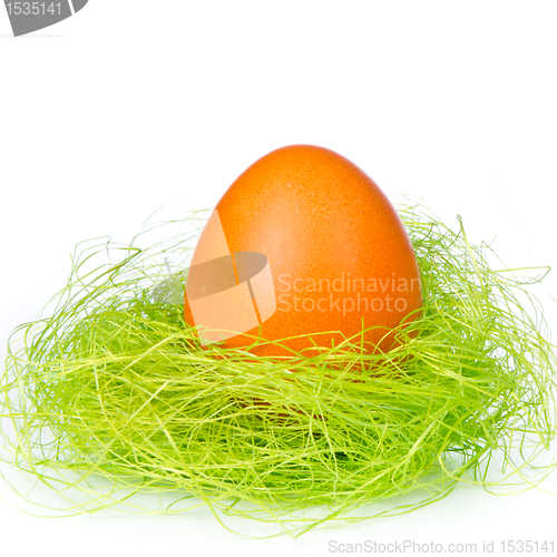 Image of easter egg in nest
