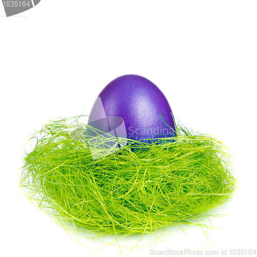 Image of easter egg in nest