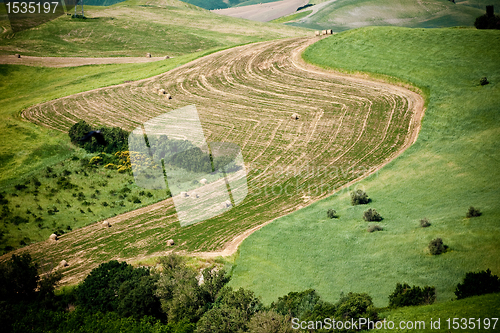 Image of Typical Tuscan landscape