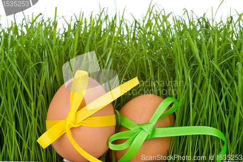 Image of easter egg and grass