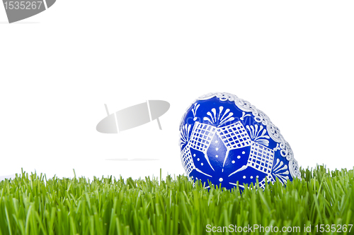 Image of easter egg in grass