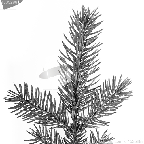 Image of Christmas tree decoration