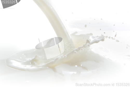 Image of milk splash