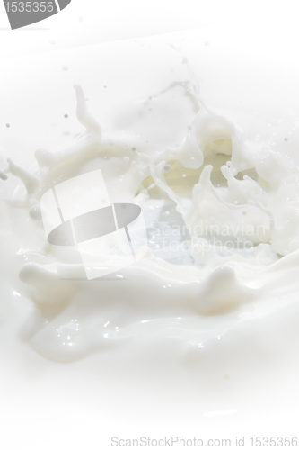 Image of milk splash