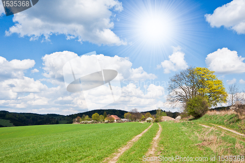 Image of green field