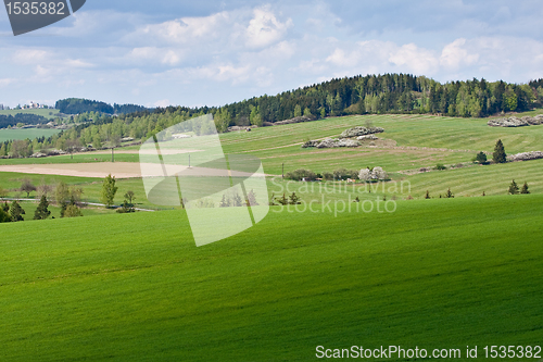 Image of green field