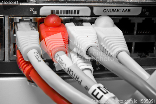 Image of patch cables