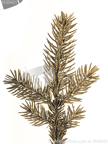 Image of Christmas tree decoration