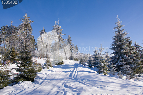 Image of fresh snow in the mountains