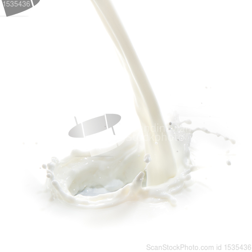 Image of milk splash