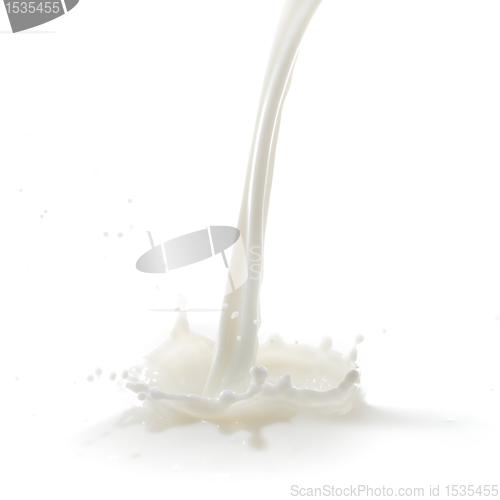 Image of milk splash