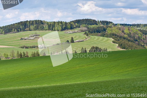 Image of green field