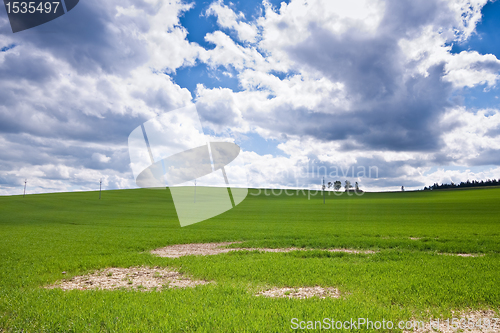 Image of green field