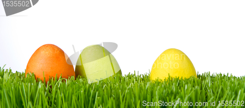 Image of easter eggs in grass