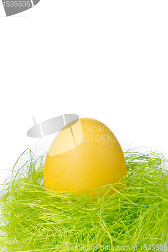 Image of easter egg in nest