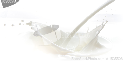 Image of milk splash