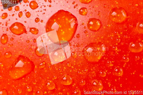 Image of tomato closeup