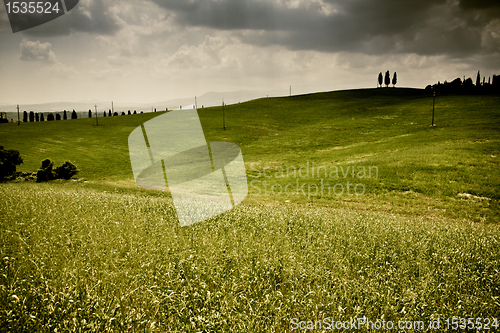 Image of Typical Tuscan landscape