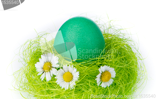 Image of easter egg in nest
