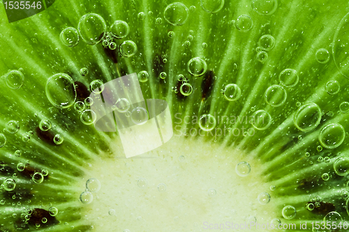 Image of kiwi with bubbles