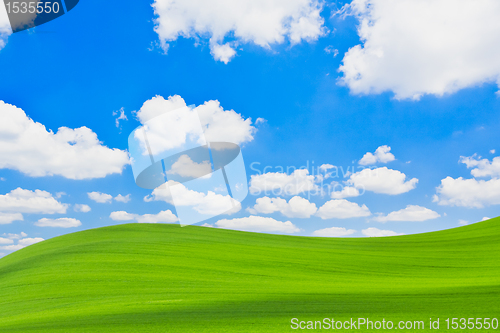 Image of green field