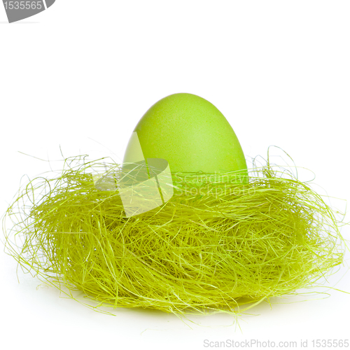 Image of easter egg in nest
