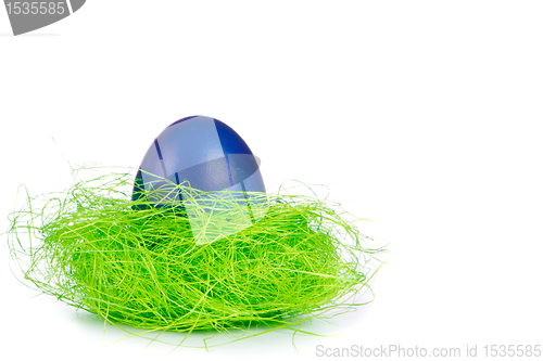 Image of easter egg in nest