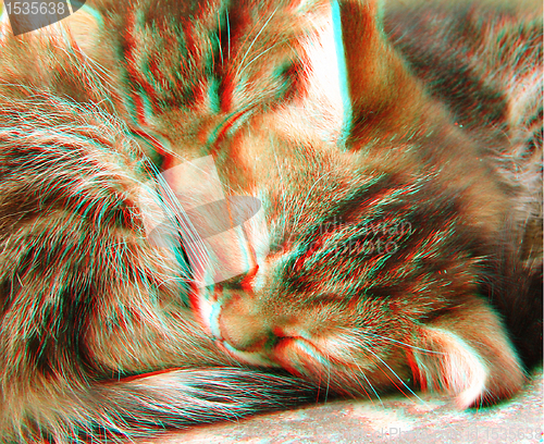 Image of 3D anaglyph of two sleeping cats