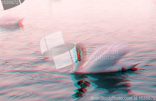 Image of 3D anaglyph of a graceful swan