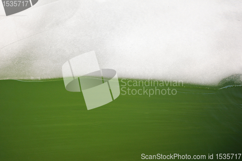 Image of Ice and green algae water