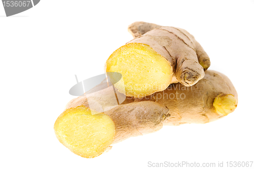 Image of Ginger (isolated)