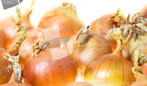 Image of Onions (isolated)