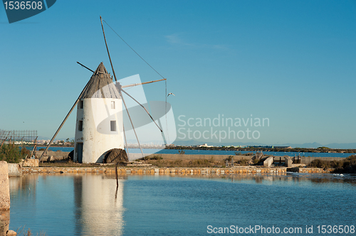 Image of Salt marsh