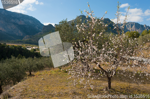Image of Mediterranean agricultue