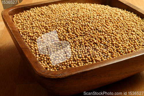 Image of Mustard