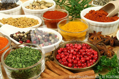 Image of Spices and herbs