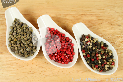Image of Pepper.