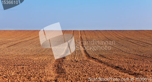Image of Agricultural abstract