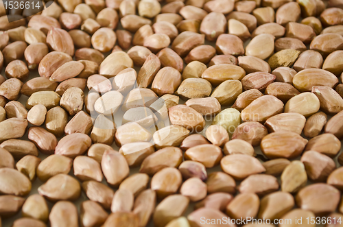 Image of Peanuts