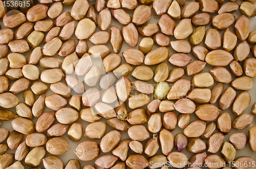 Image of Peanuts