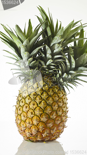 Image of Pineapple