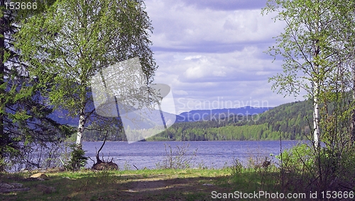 Image of Norwegian landscape.