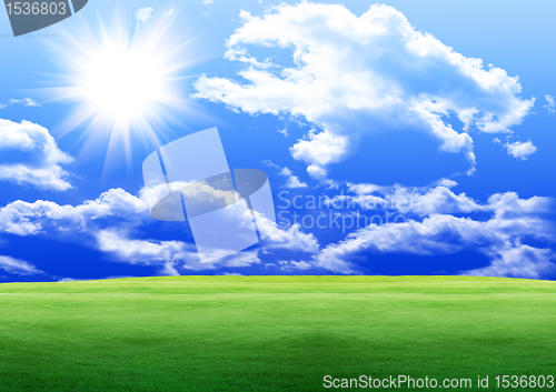 Image of green glade
